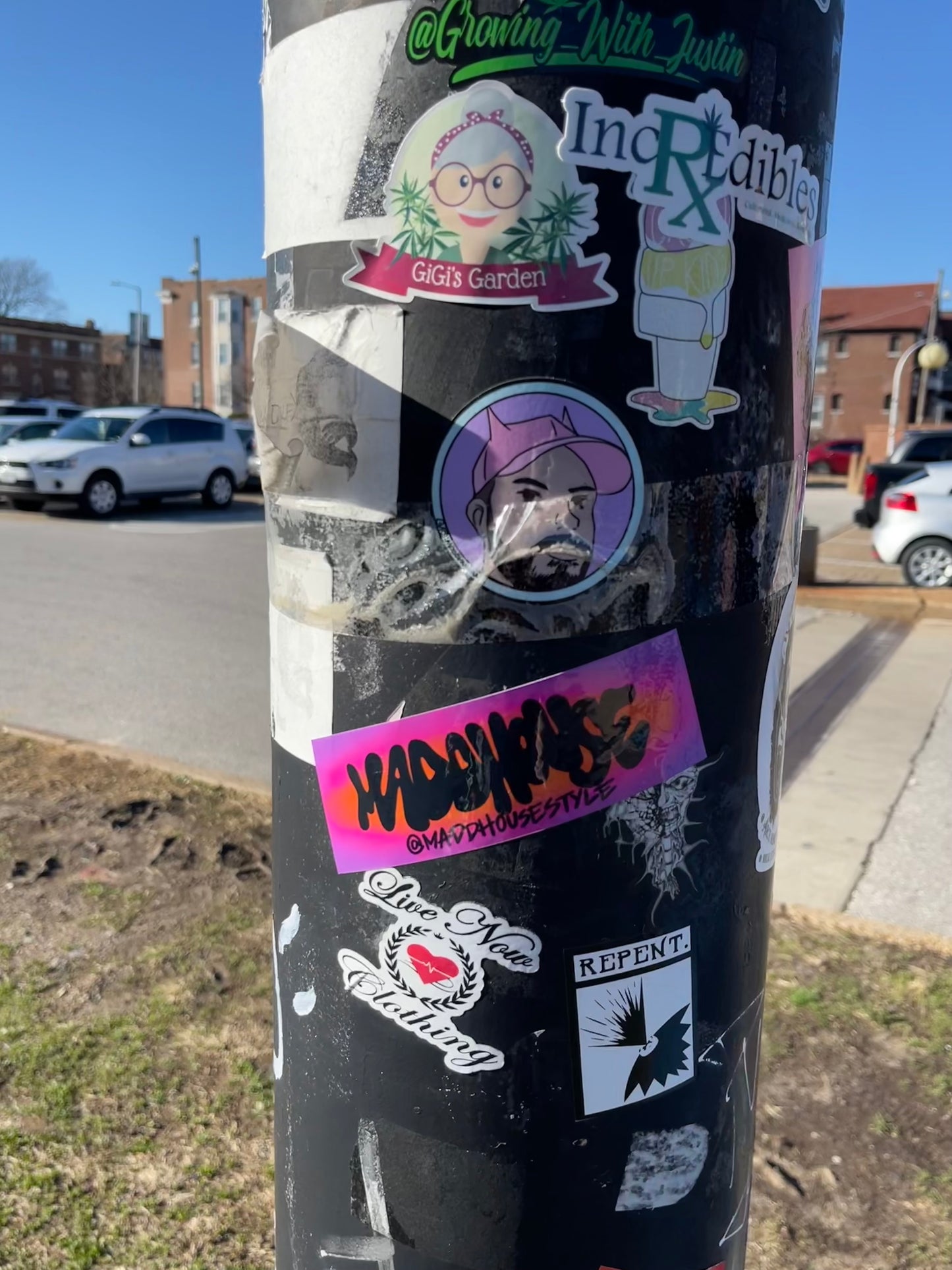 MADDHOUSE Aura Bumper Sticker 2022/23