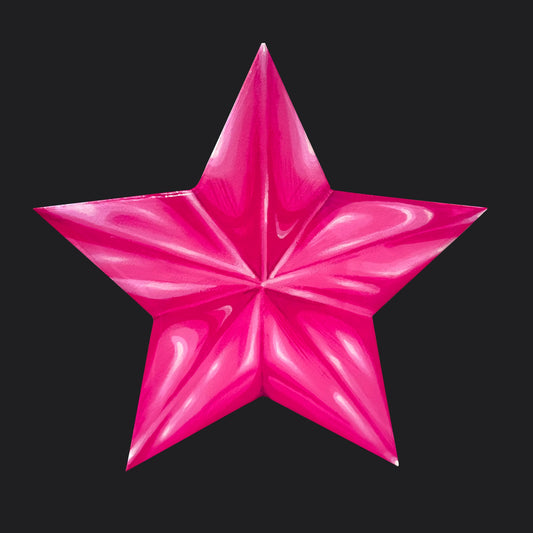 PINK STAR CANVAS PAINTING