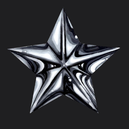 BLACK/WHITE STAR CANVAS PAINTING