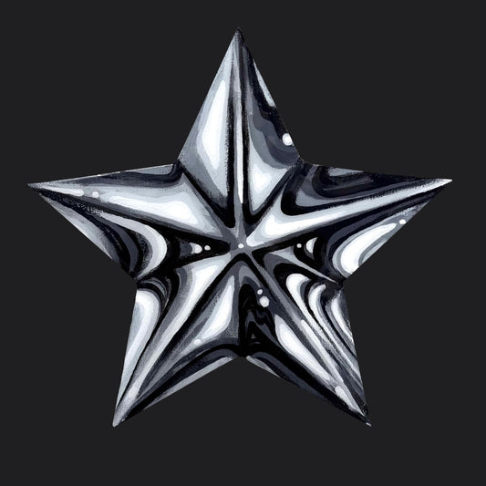 BLACK/WHITE STAR CANVAS PAINTING