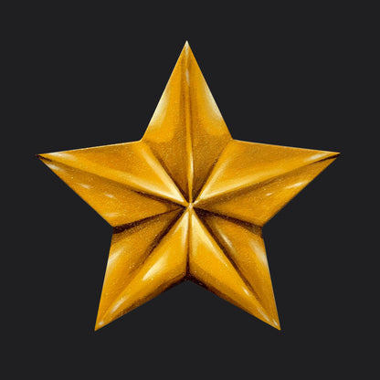 GOLD STAR CANVAS PAINTING 2